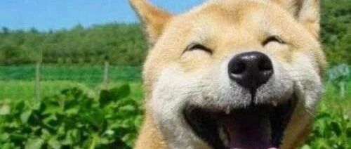 “你吐我 ，我就吐你！ 就是这么简单粗暴！！”哈哈哈哈哈哈哈哈哈哈