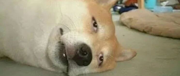 千万别惹喝醉酒的人！哈哈哈哈哈哈哈哈哈哈哈