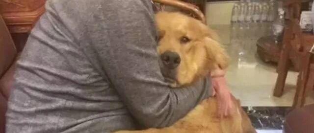 千万不要让爸妈养宠物！！！否则哈哈哈哈哈哈哈哈