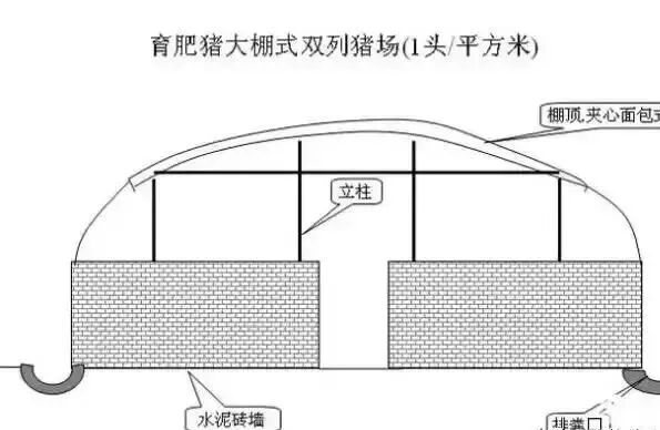猪圈设计图片大全_小型养猪场选址要点_农村小型养猪场设计