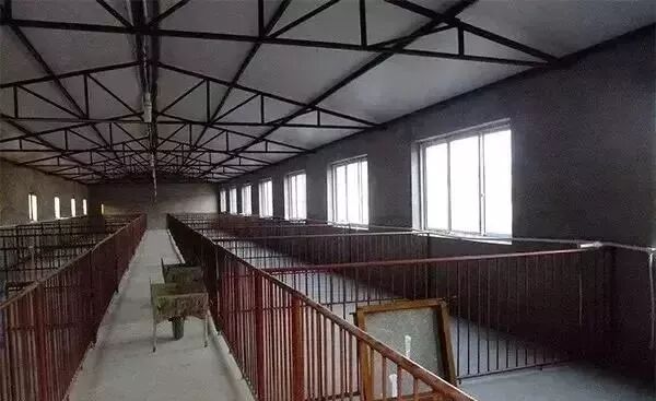 猪圈设计图片大全_小型养猪场选址要点_农村小型养猪场设计