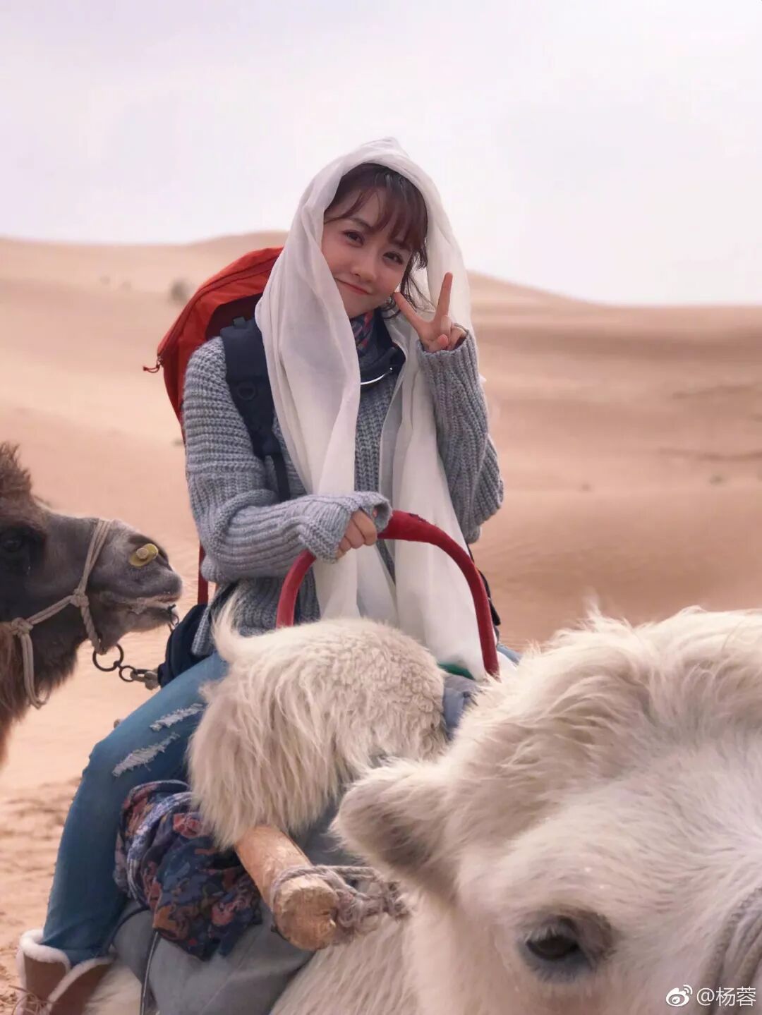 可怜天下男人心 电视剧_食物语抄食之契约_素格力威塞哥2016绯闻