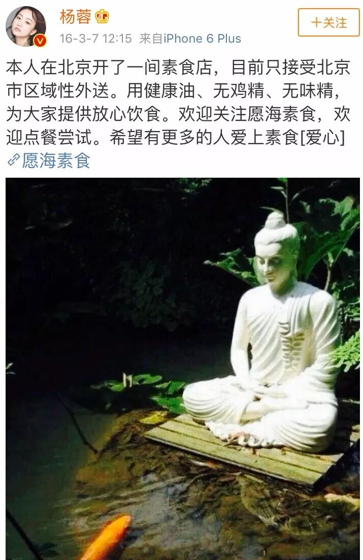 食物语抄食之契约_素格力威塞哥2016绯闻_可怜天下男人心 电视剧