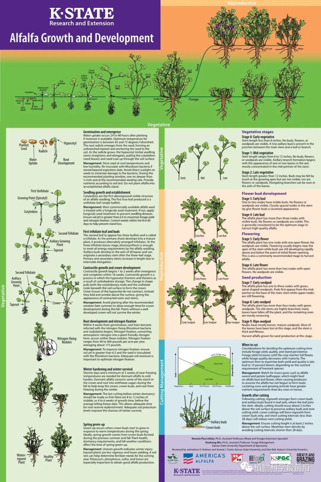 油菜 紫花苜蓿 高粱的一生 英文原版 植物科学最前沿 微信公众号文章阅读 Wemp