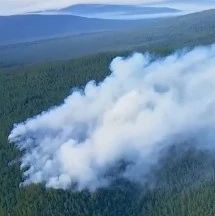 内蒙古已发生14起森林火灾！紧张的救援正在进行