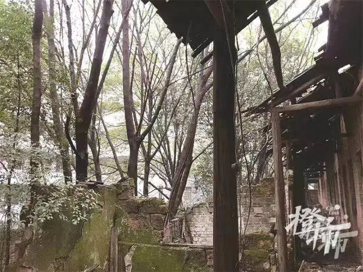 封閉學校附近做什么生意賺錢呢_附近哪里有全封閉學校_封閉式學校附近的生意好做嗎