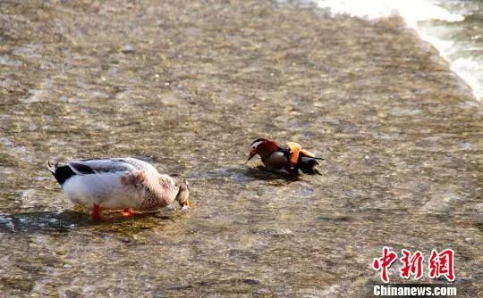 赞美诗网_赞美诗网诗歌_赞美诗网下载
