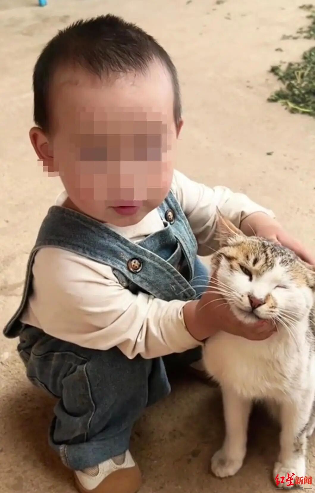 警方通报2岁走失女童遇难