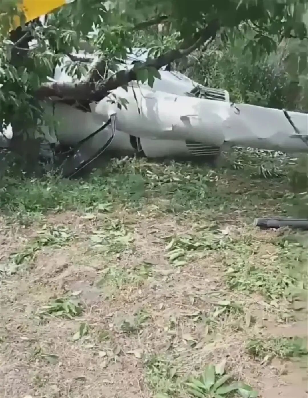 事故现场（社交平台视频截图）