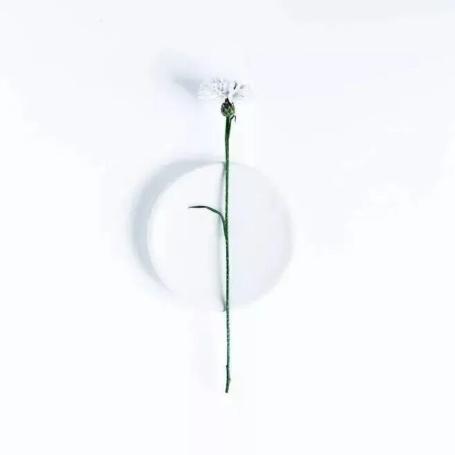 高情商的十种表现（精辟）