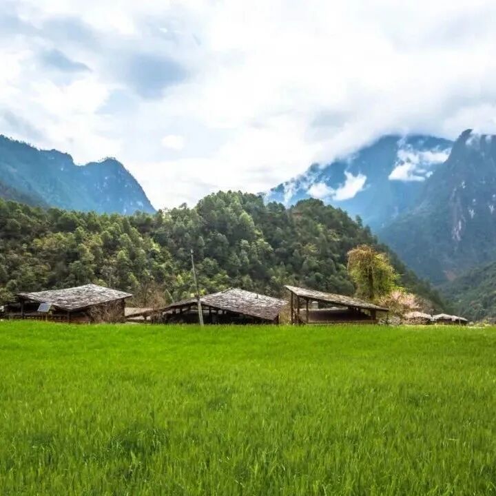 笨，是一种高级的情商