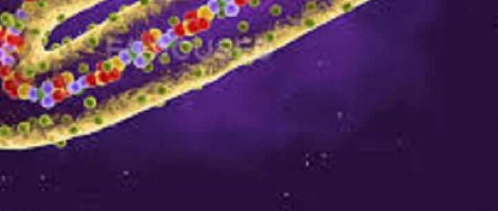 地球这是怎么了？马尔堡病毒又来了！致死率极高，几内亚已出现死亡病例！