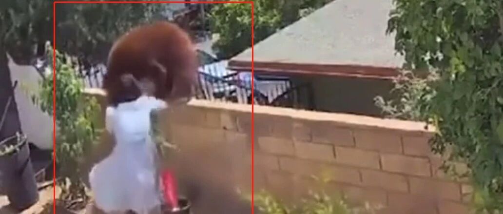 17岁女孩徒手大战棕熊妈妈火遍全球！【有视频】