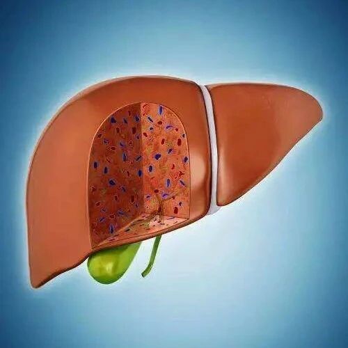 乙肝表面抗体和核心抗体同时阳性是乙肝病人吗？