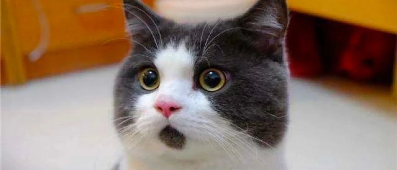 年薪 50 万了，终于可以抬头做人了