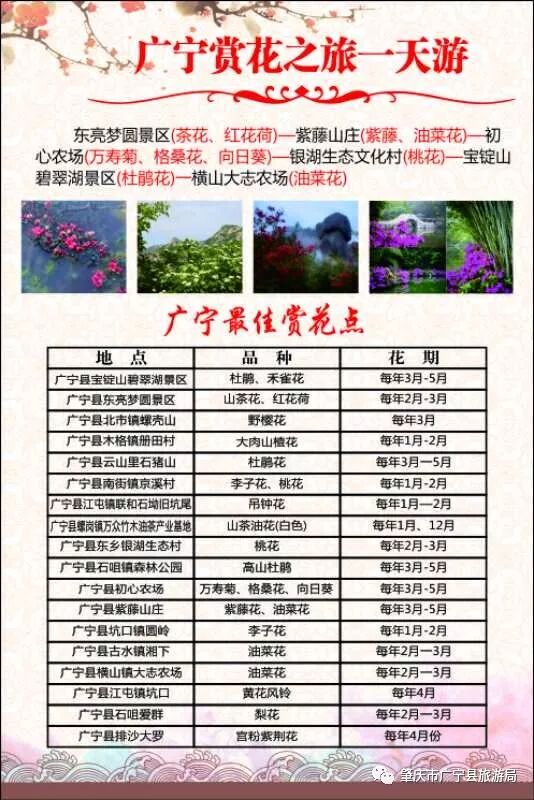 广宁"花花世界"将引爆整个春天,你还不赶快来领赏花时刻表!