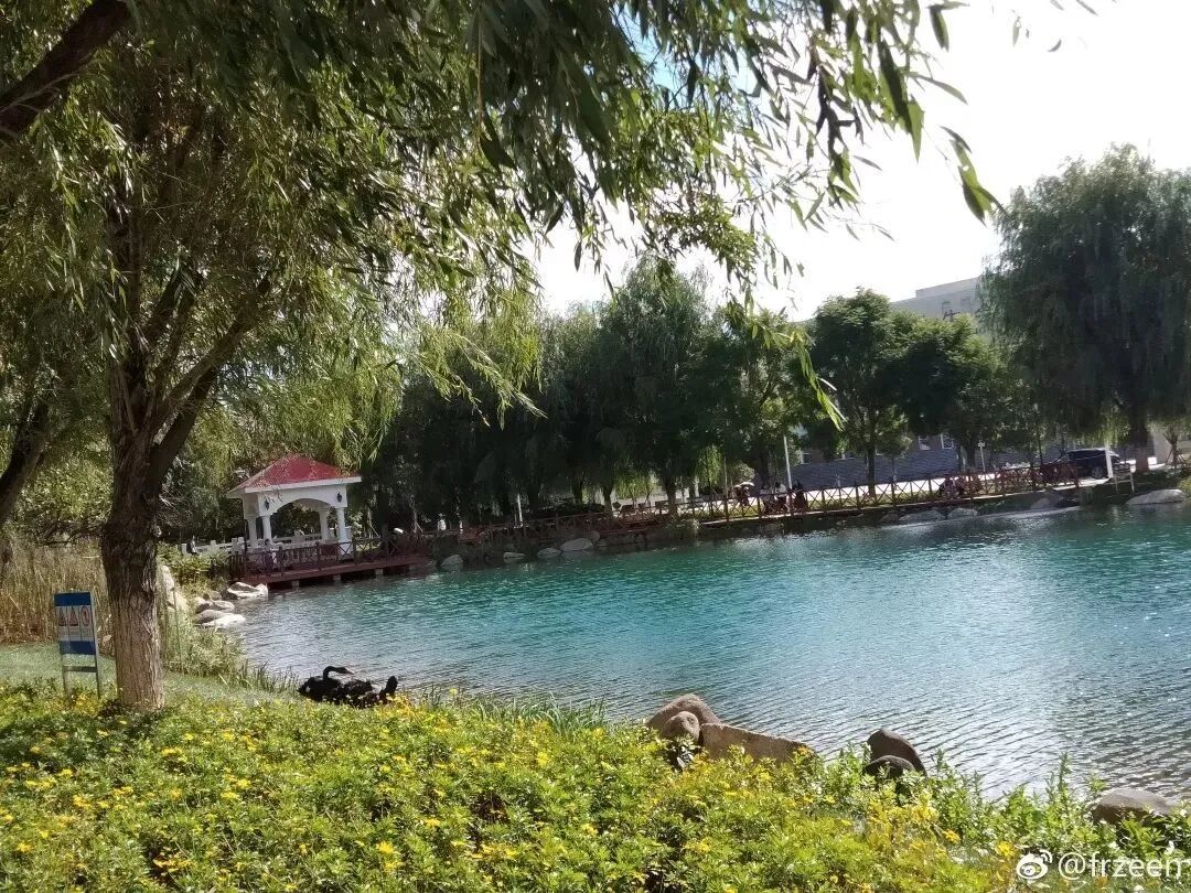 重慶三峽醫藥高等專科分數線_2023年重慶三峽醫藥高等專科學校錄取分數線_重慶三峽醫藥高等專科錄取位次