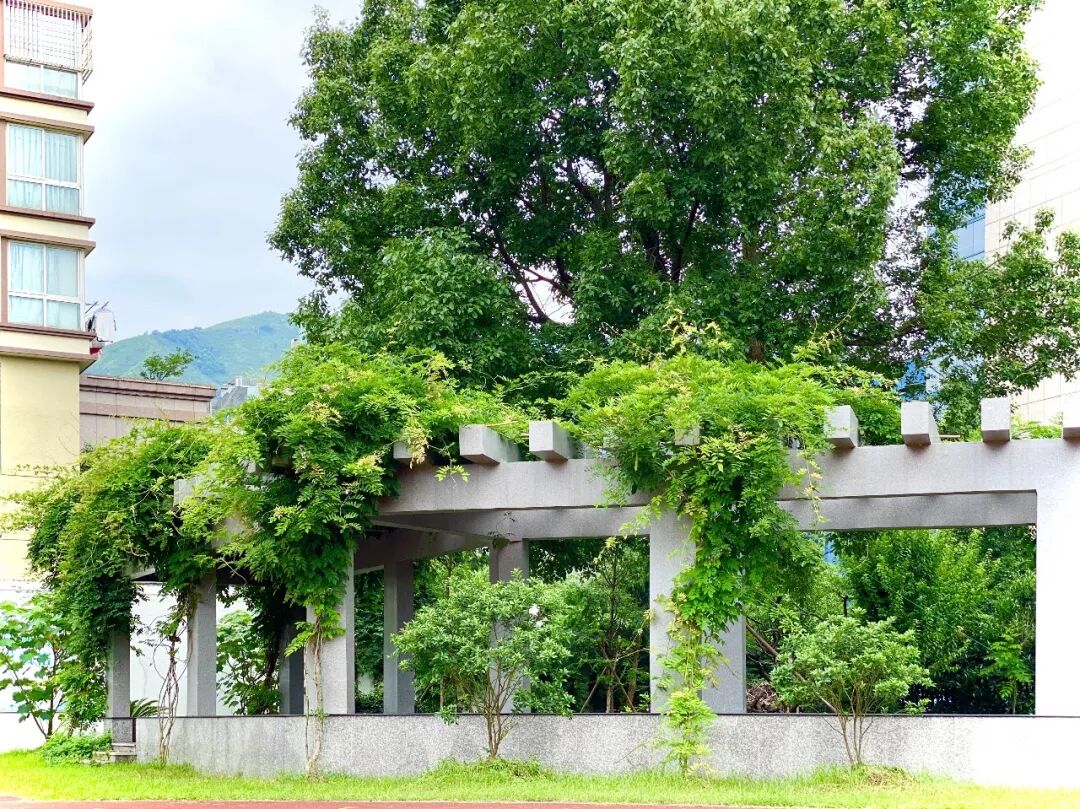 城關中學黃巖老師簡介_黃巖城關中學_城關中學黃巖區