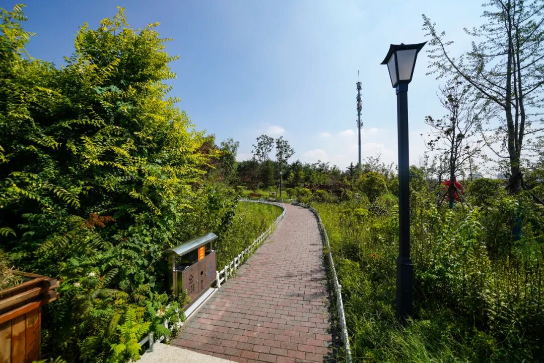 老虎山公园即将竣工开园