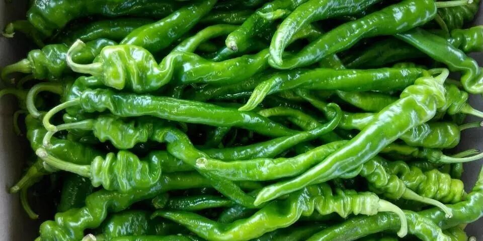 亿乐家超市生鲜超低价西瓜499元kg甘蔗299元kg青萝卜