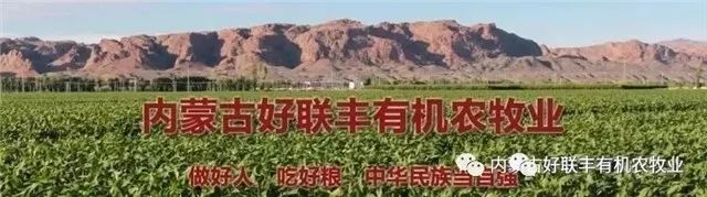 内蒙古自治区粮食和物资储备局领导一行到好联丰调研
