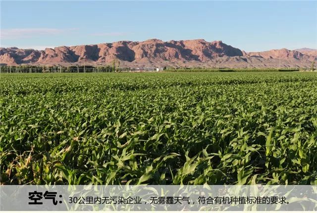 内蒙古自治区粮食和物资储备局领导一行到好联丰调研