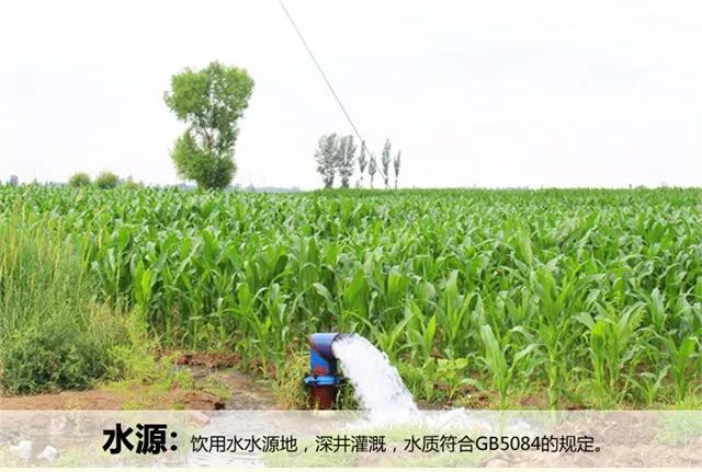 内蒙古自治区粮食和物资储备局领导一行到好联丰调研