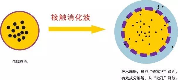 氟诺米(膜控型)——第二代包被技术