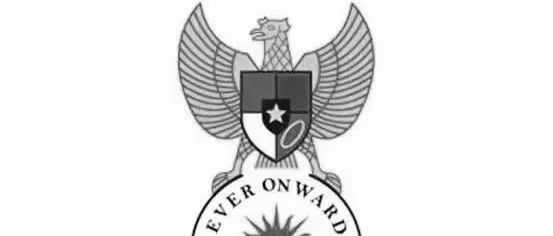 cover_image