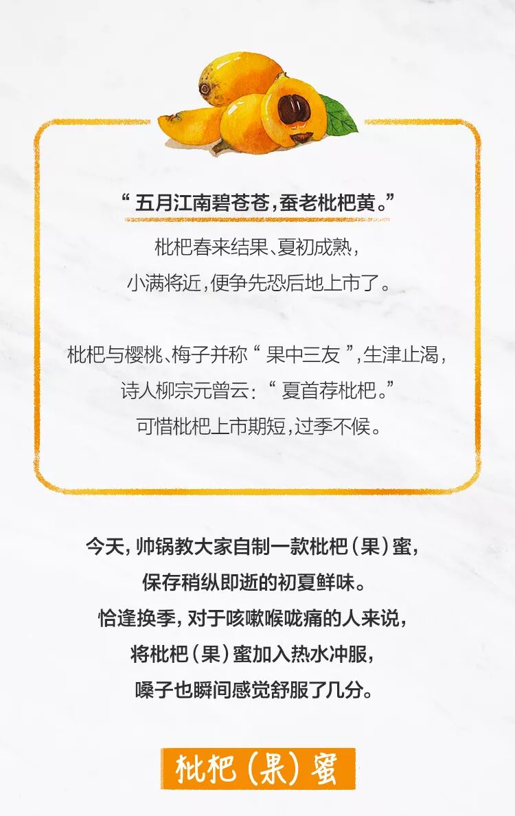 枇杷是初夏永恒的开场白 快来甜蜜 尝鲜 吧 菲仕乐天猫旗舰店