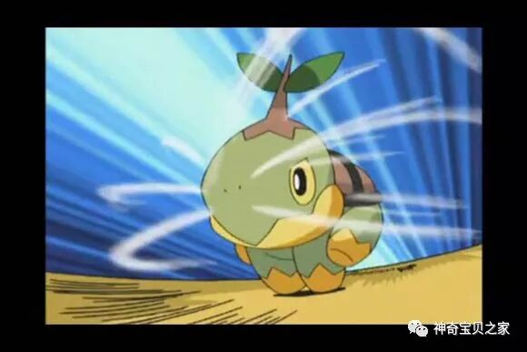 大头草龟是黑颈龟吗_口袋妖怪草苗妙龟最佳性格_草苗龟