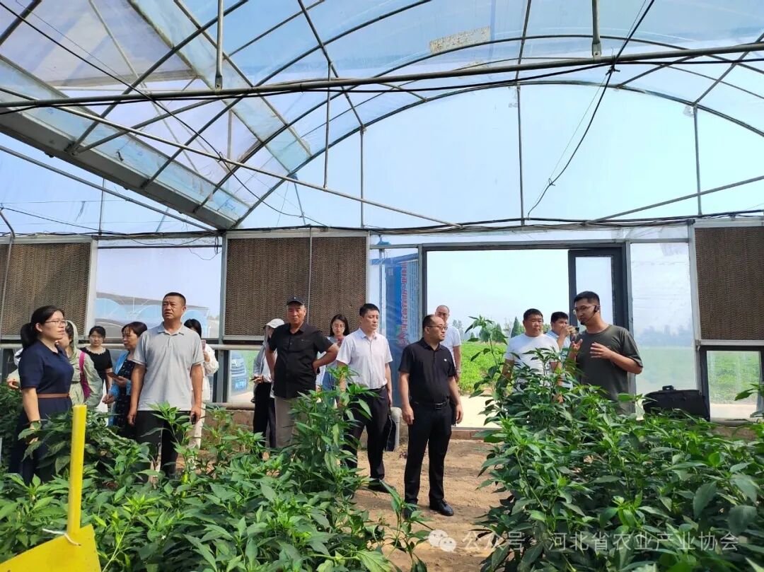 微信图片_2026-01-05_083910_047