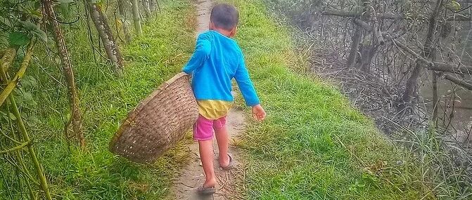 那个从不做家务的神童，最后怎么样了……