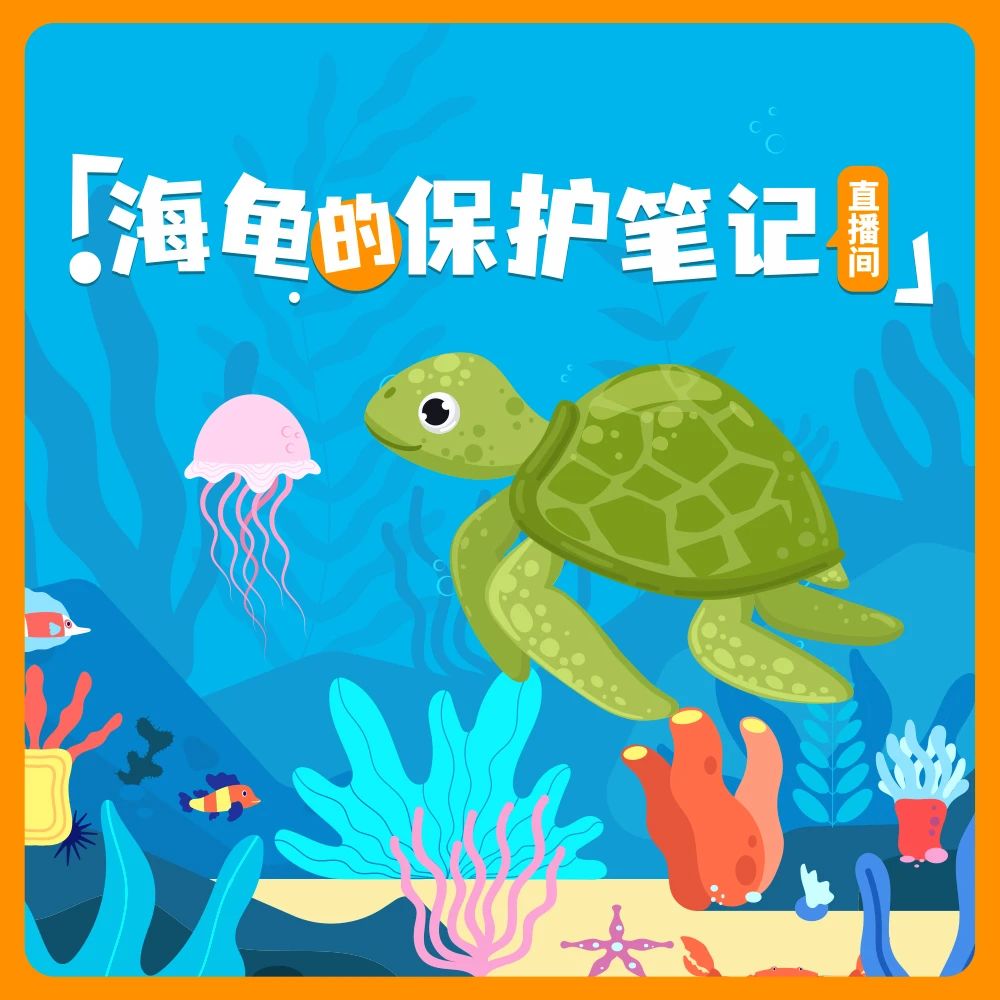 世界海龟日 | 搜狐视频开播啦！一起来看海龟的保护笔记吧~