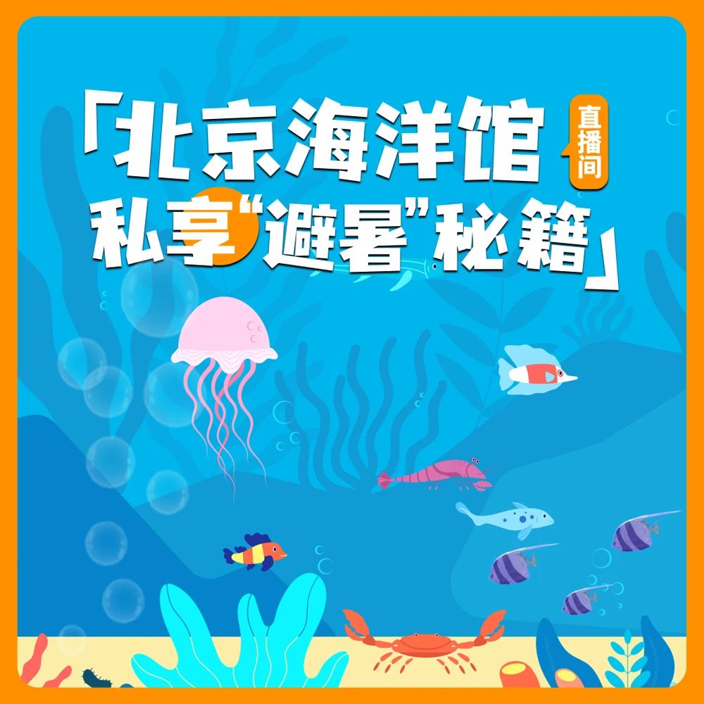 直播预告 | 北京海洋馆私享“避暑”秘籍