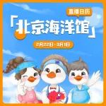 直播预告 | 北京海洋馆直播日历更新啦~在线云游，不见不散！