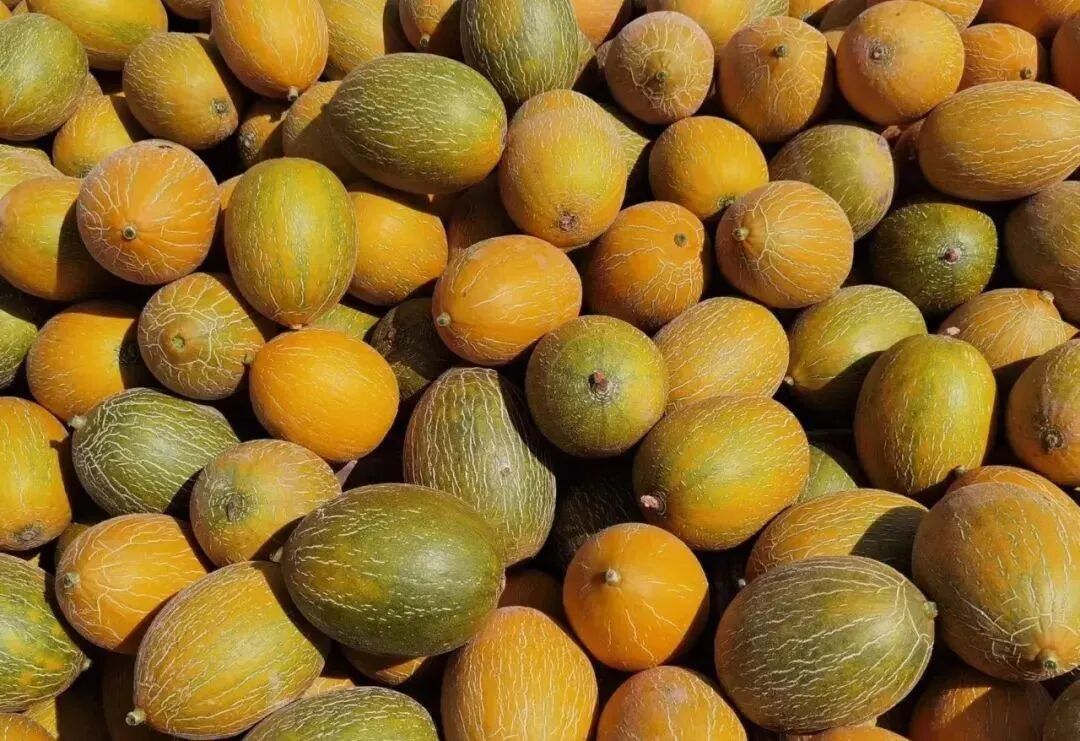 花兰柿?汉堡?都是甜蜜的误会