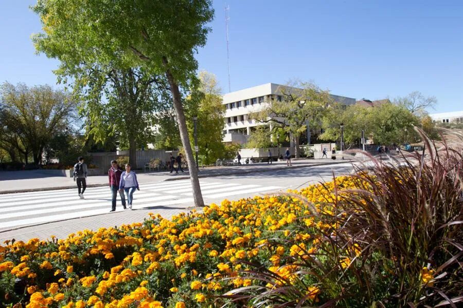 640 - 2025-05-26T165128.749.jpg