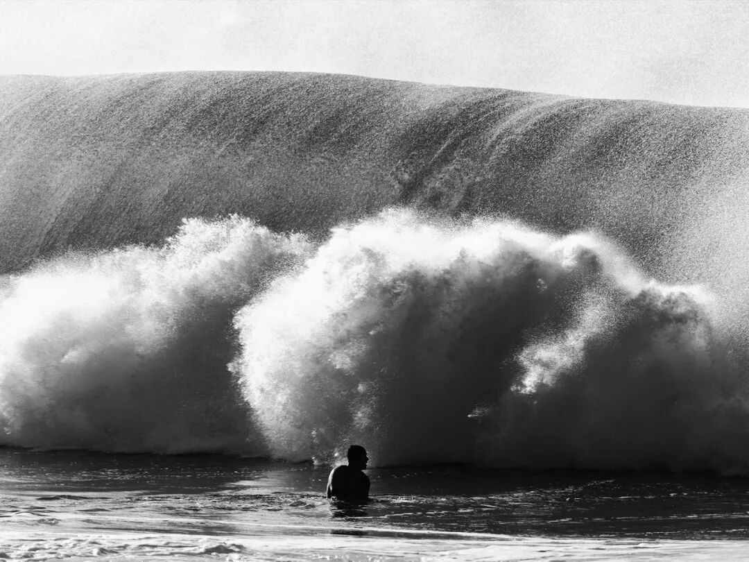 初读不知读书意，再读已是书中人（深度好文）