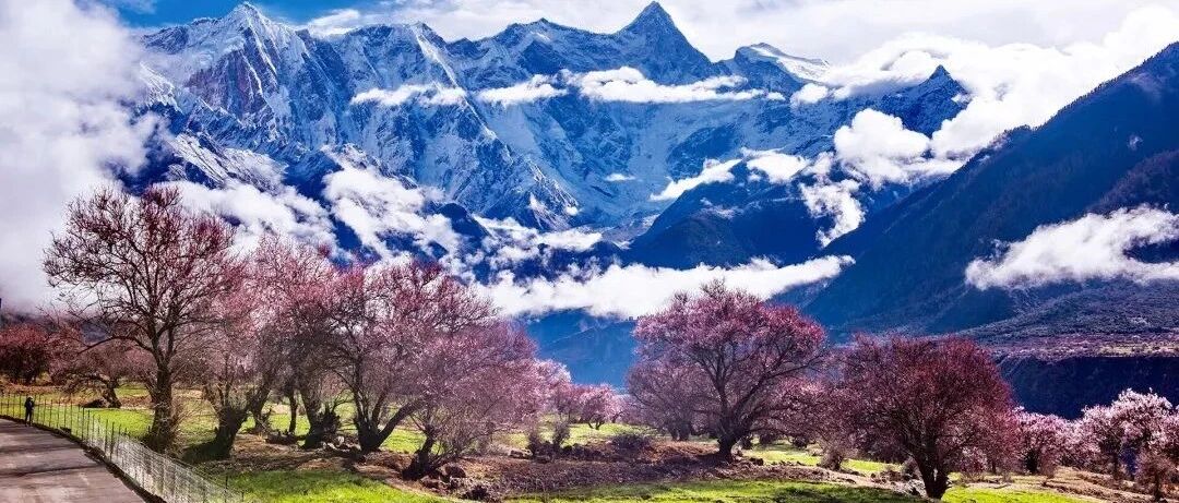 【11天10晚•林芝桃花线】雪域伴圣地，桃花映神山