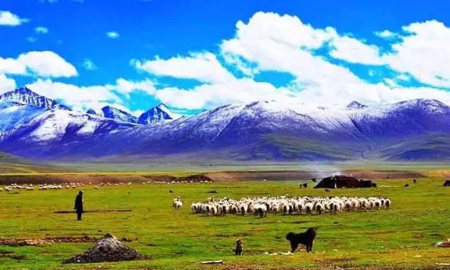 西藏圓夢之旅，川藏南線+稻城亞丁10日遊 旅遊 第1張