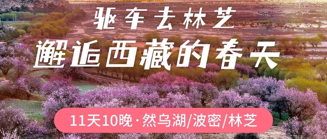 【11天·雪域桃花】驱车去林芝，邂逅西藏最美春天（成都到拉萨）