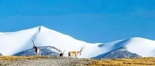 G109，始于北京，终于拉萨!一条贯通中国东西的景观大道!