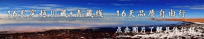 夫妻倆環球旅行，24年里去了215國，妻子旅途中去世，他也沒停止 旅遊 第12張