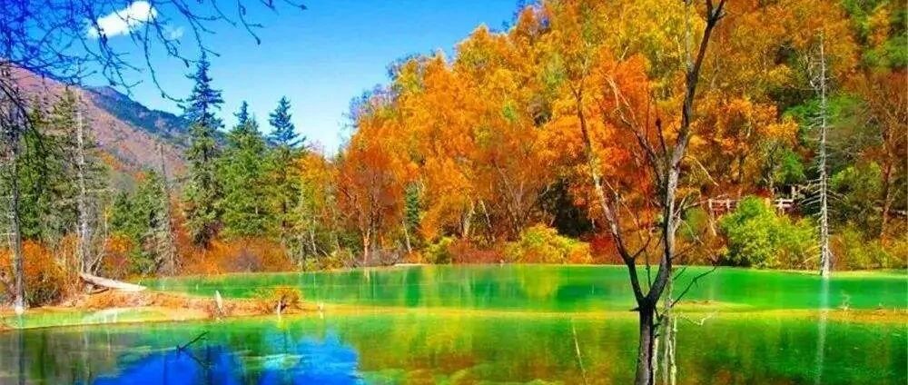 一次四川，一生向往！