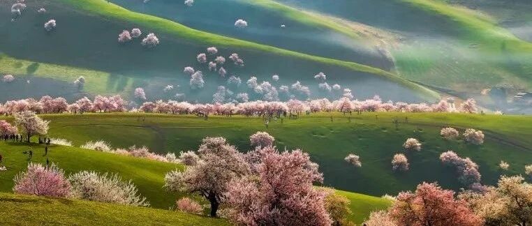 【梦幻伊犁】2-6人MINI团，网红S101公路+环游赛里木湖+维吾尔族文化+特克斯八卦城+寻找伊犁杏花+那拉提空中草原