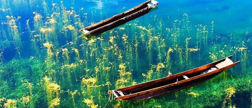 悄悄告诉你、泸沽湖其实有好几种颜色！不信你自己看