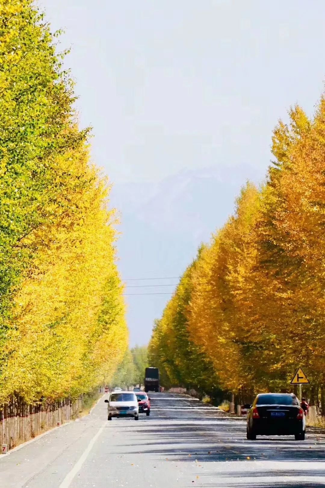 去西藏你必須學會的十句藏語 旅行 第11張