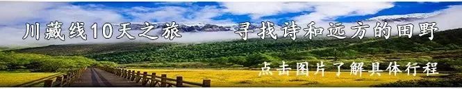 旅行不是濟世良藥，但它是一片阿司匹林 旅遊 第31張