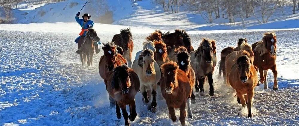 这才是开启冬天的正确方式，错过再等一年！